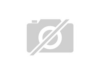 Kleine Sitzbank massiv Holz mit handgeschnitzter Lederauflage Peru